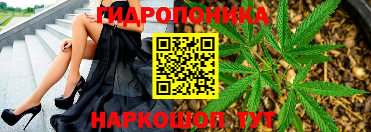 Бошки Шишки планчик Людиново
